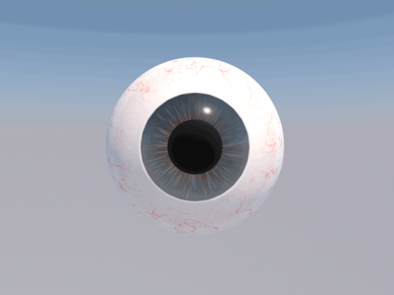 Image result for eye anatomy animation gif